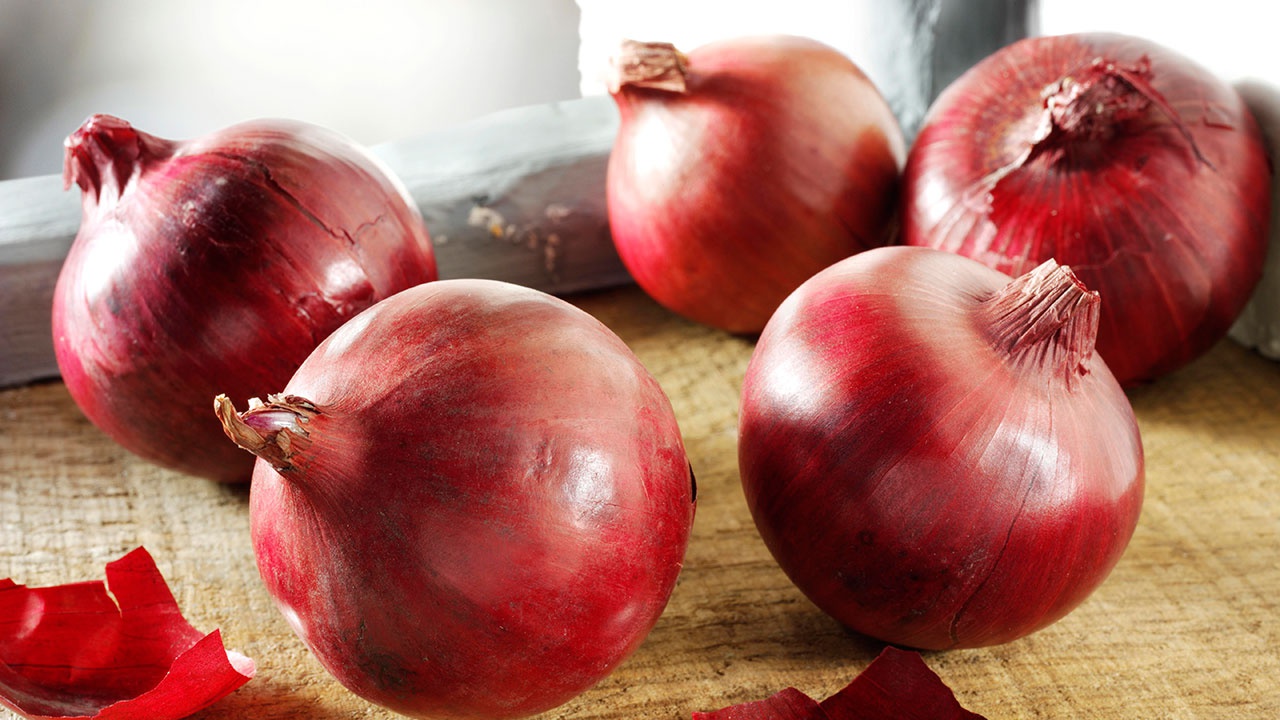 Mega sb onion